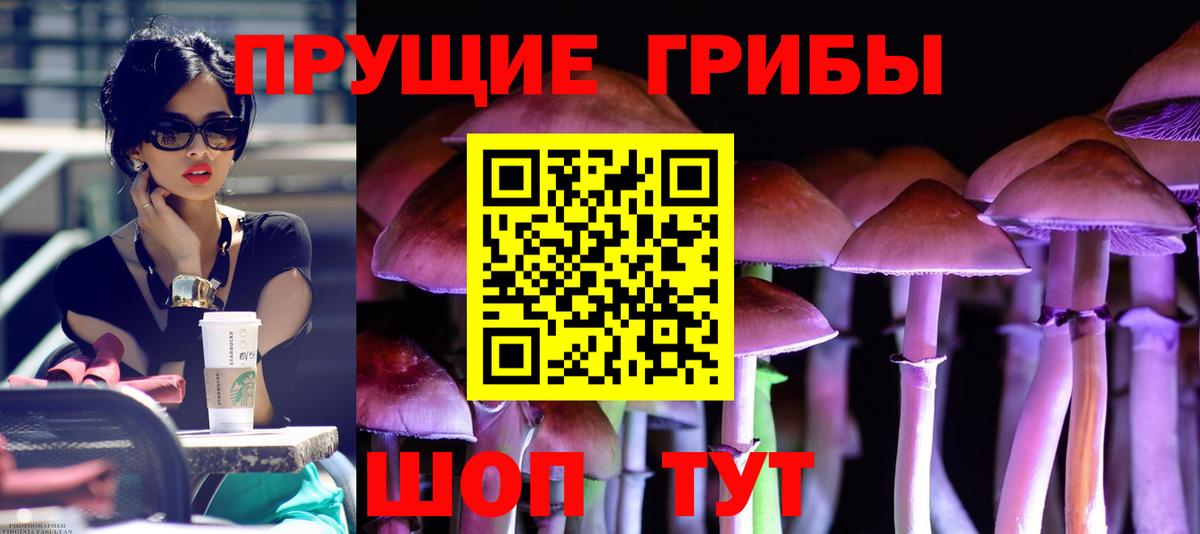 Псилоцибиновые грибы Cubensis  Галлюциногенные грибы Psilocybe  Вход с VPN  Глазов 